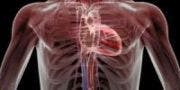 The Costs of an Irregular Heartbeat