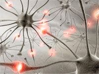 Unique Nerve-Stimulation Treatment Effective for Drug-Resistant Epilepsy