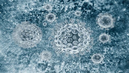 infectious disease, hepatitis C, HCV, hepatology, acute hepatitis, liver disease, CROI 2017