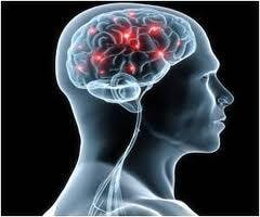 Uric Acid May Have Neuroprotective Effect in Stroke Patients