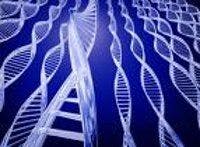Yale Researchers Discover Tourette Syndrome Gene Mutation