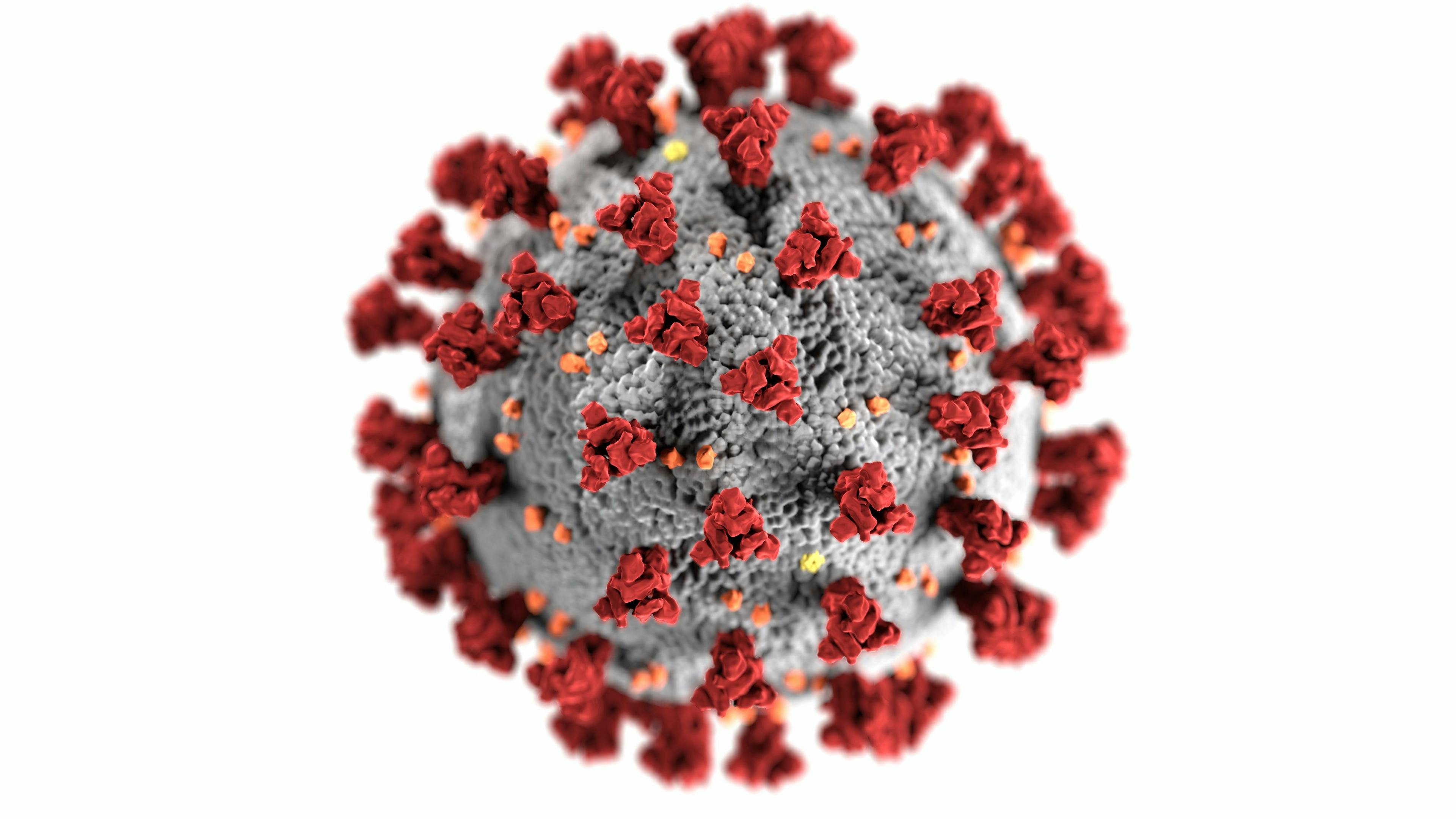 Image of COVID-19 Spike Protein |  Credit: Center for Disease Control's Public Health Image Library