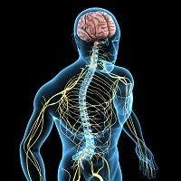 Neuropathic Pain: Discovery Enhances Opioid Analgesia