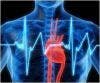 Study Links Heart Disease Risk Factors to Some Cognitive Decline 