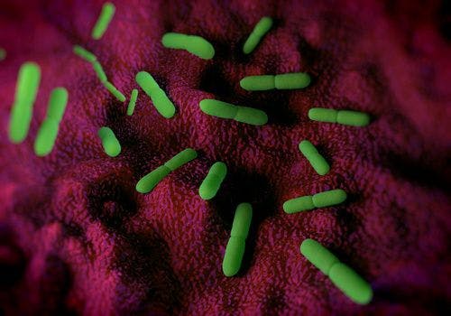 Plague Case Reported in Idaho Child