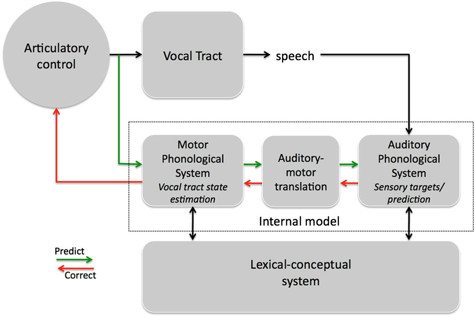 On the Nature of Sensorimotor Integration for Speech Processes 
