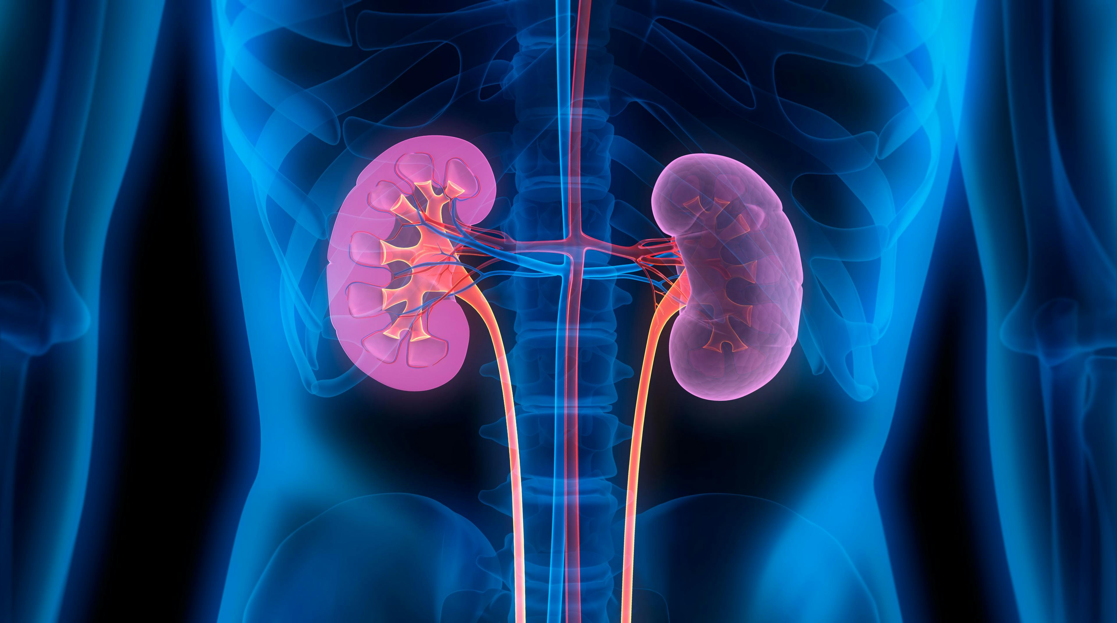 2-Year Post-Biopsy Renal Response Predicts Long-Term Renal Survival in Lupus Nephritis