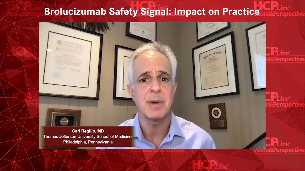Brolucizumab Safety Signal: Impact on Practice 