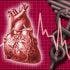 5 Educational Online Heart and Cardiology Animations and Videos