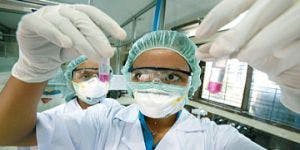 New Strain of Swine Flu Confirmed by CDC, WHO 