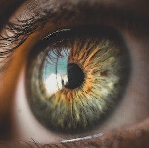 Eyeball | Image Credit: Bruno Henrique/Pexels
