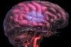Identifying Key Targets for Brain Recovery after Stroke