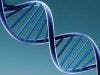 Personal Genetic Testing Raises Interest and Worry among Parents