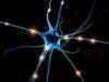 Scientists Shed Light on Cause of Brain Cell Death in Parkinson's