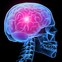 MS, brain volume loss, RRMS, neurology