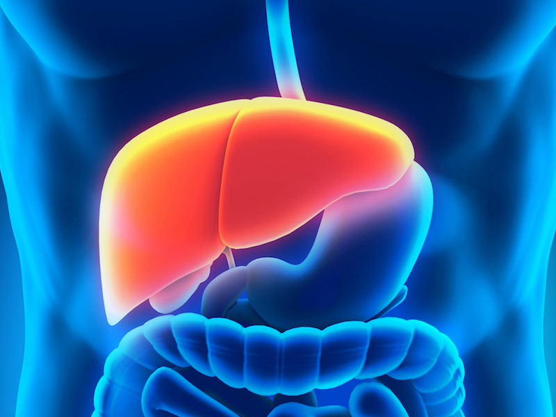 Clinical Trial for Liver Disease Treatment Imminent After Orphan Drug Designation