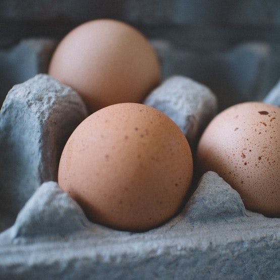 Egg Consumption Shown to Impact Predictive Value of Diagnostic Allergy Assessments