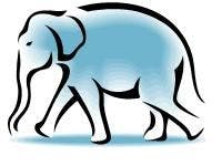 I See the Elephant in the Room -- Making Care Affordable