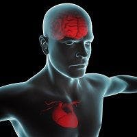 Long-Term Dementia Risk and Warfarin Treatment in Patients with Atrial Fibrillation