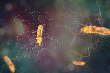 Historic Phase 3 Microbiota Trial for C Diff Treatment Completes Enrollment