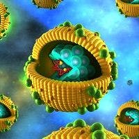 Researchers Discover New Human Virus Linked to Hepatitis C