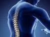 FDA Approves New Component for Boston Scientific Spinal Cord Stimulator