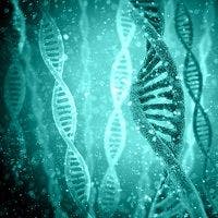Genetic Mutation Responsible for Form of Macular Degeneration