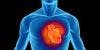 PINK1 Protein May Hold the Key to Defeating Heart Failure