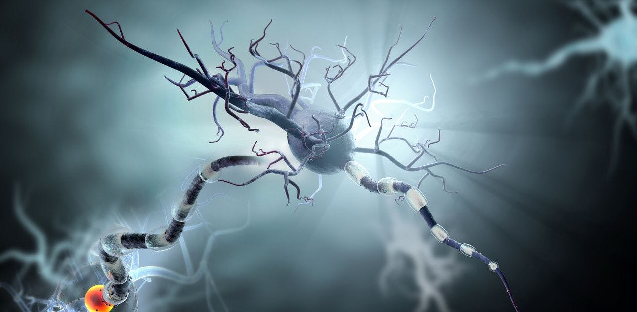 Repurposed Compound to be Tested in Phase 2a Trial in Huntingtons Disease