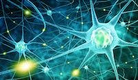 OPTIMUM Phase 3 Trial for Multiple Sclerosis Nearing Completion