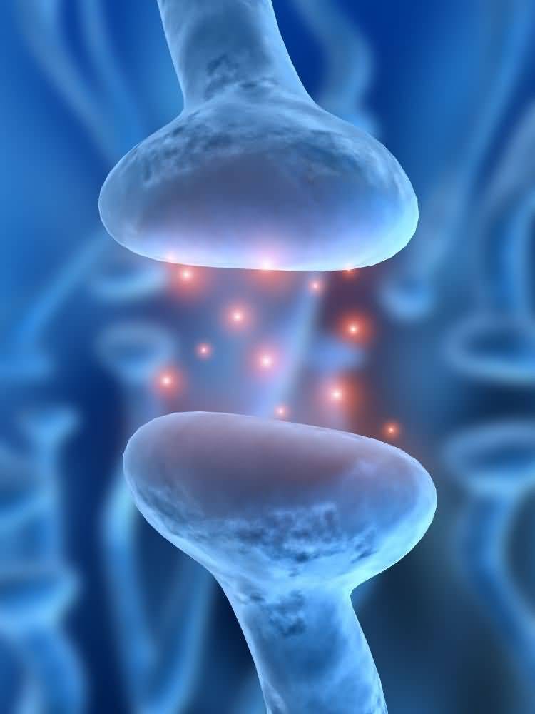 Receptor Responsible for Controlling Emotions, Memories Uncovered
