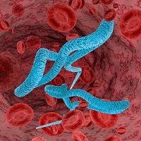 GeneXpert Ebola Assay for Diagnosis of Ebola Virus Disease Performs Well in Field Tests