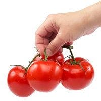 Tomato Consumption Contributes to Gout Flares